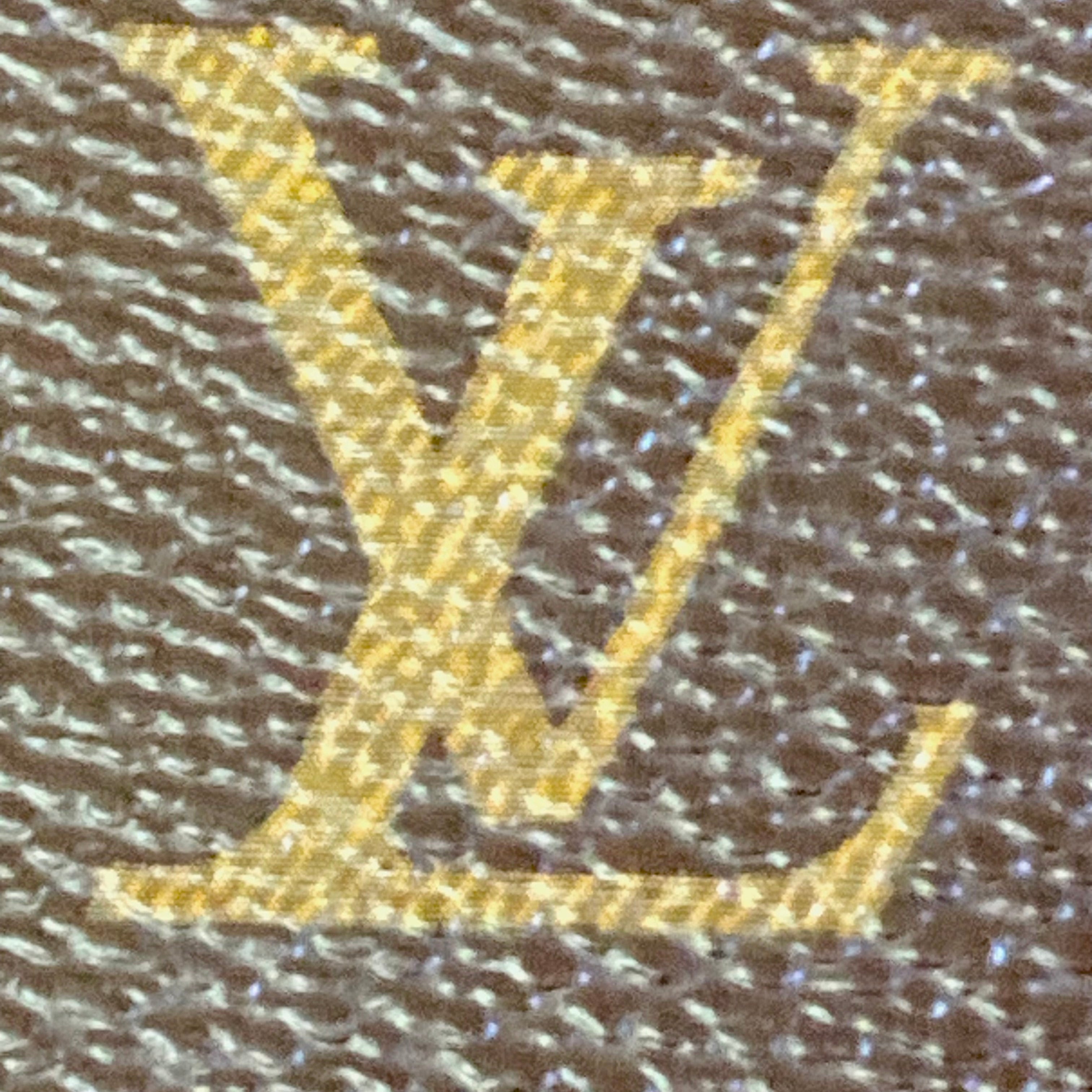 Louis Vuitton Monogram Canvas Sac Plat Tote Bag