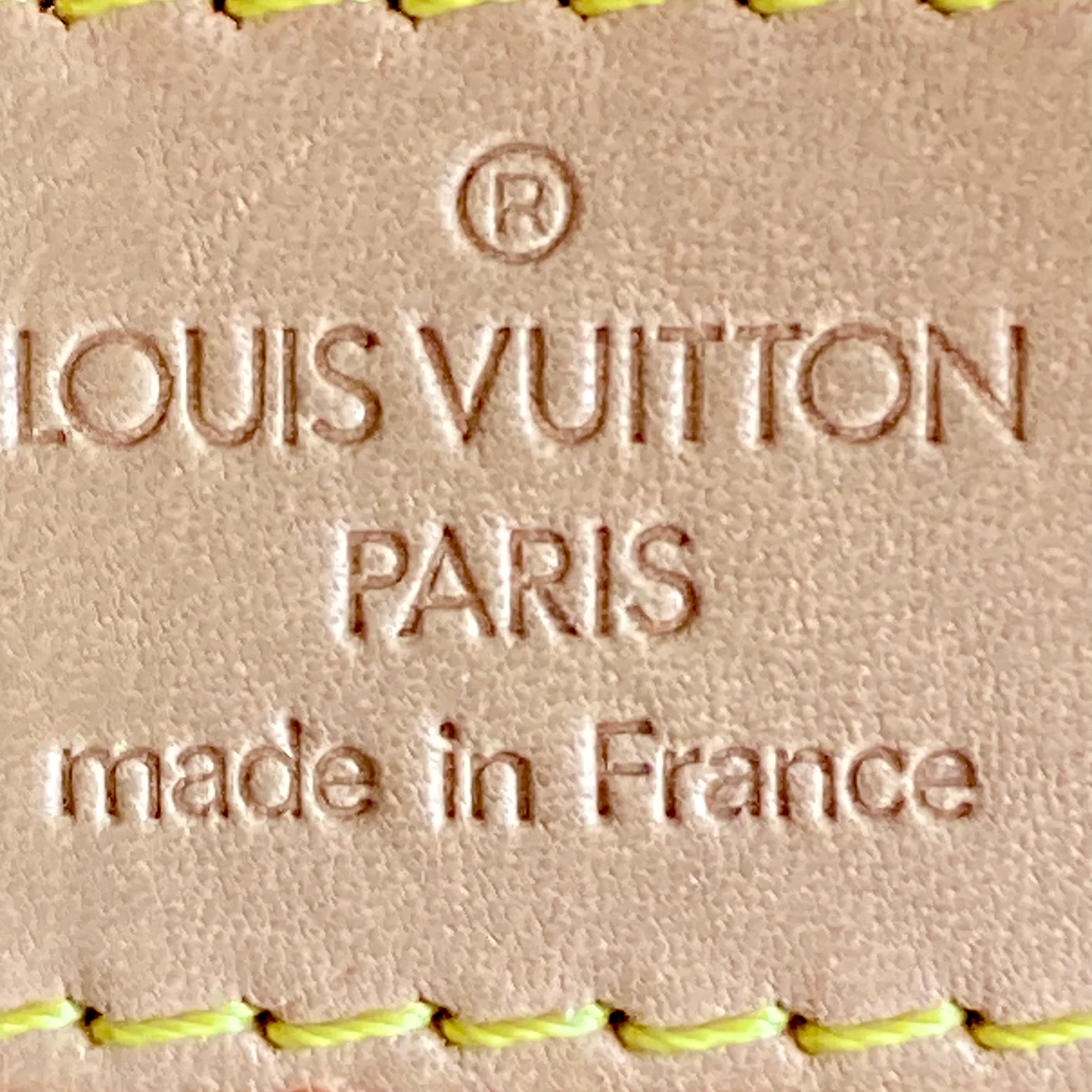 Louis Vuitton Monogram Excentri-Cite Backpack