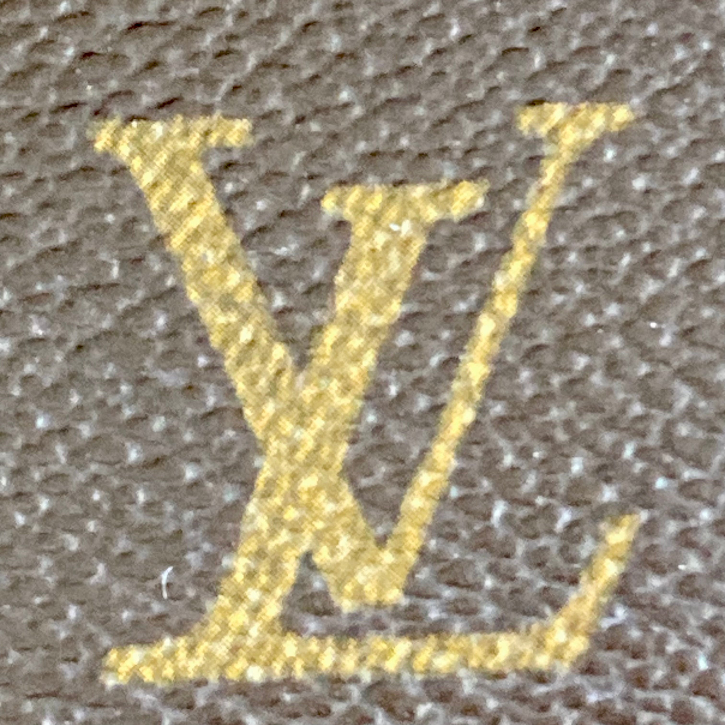 Louis Vuitton Monogram Excentri-Cite Backpack