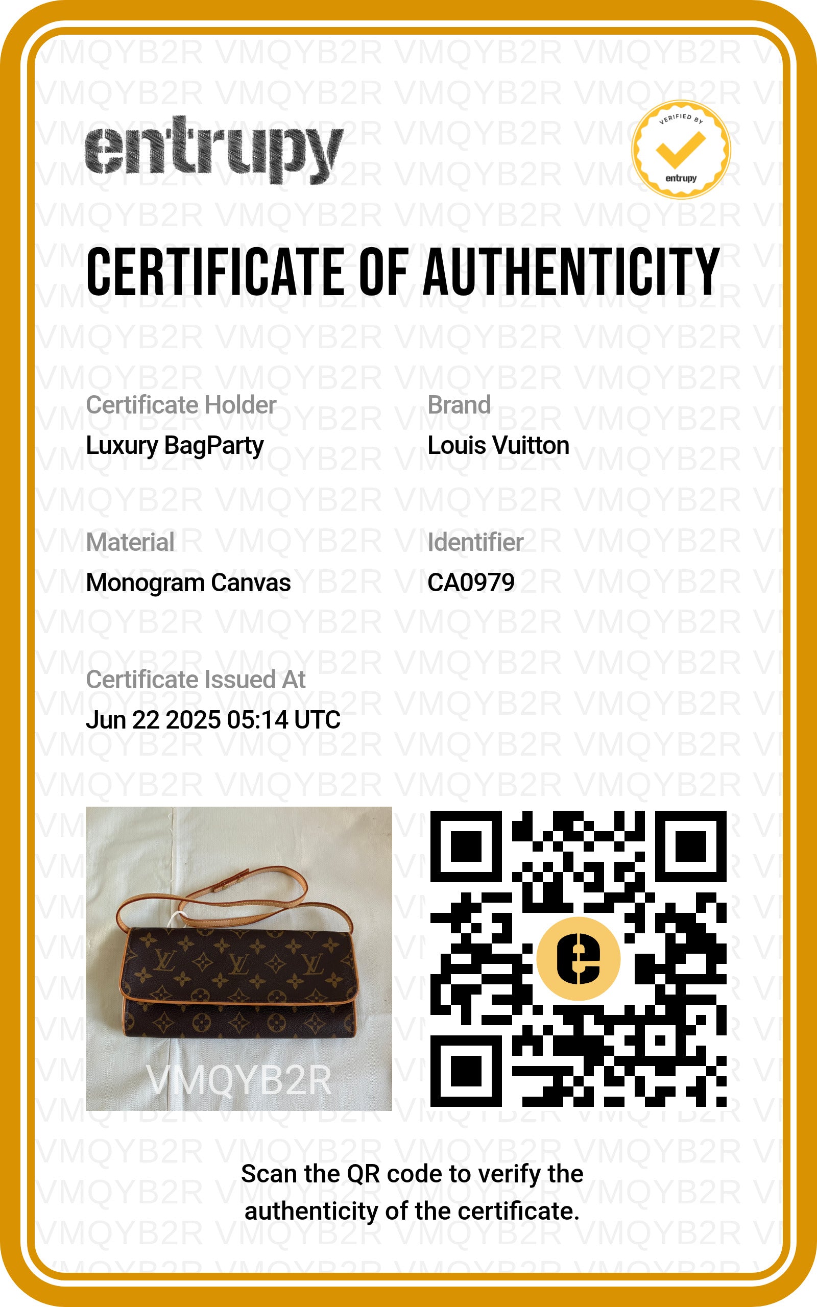 Louis Vuitton Pochette Twin Shoulder Bag