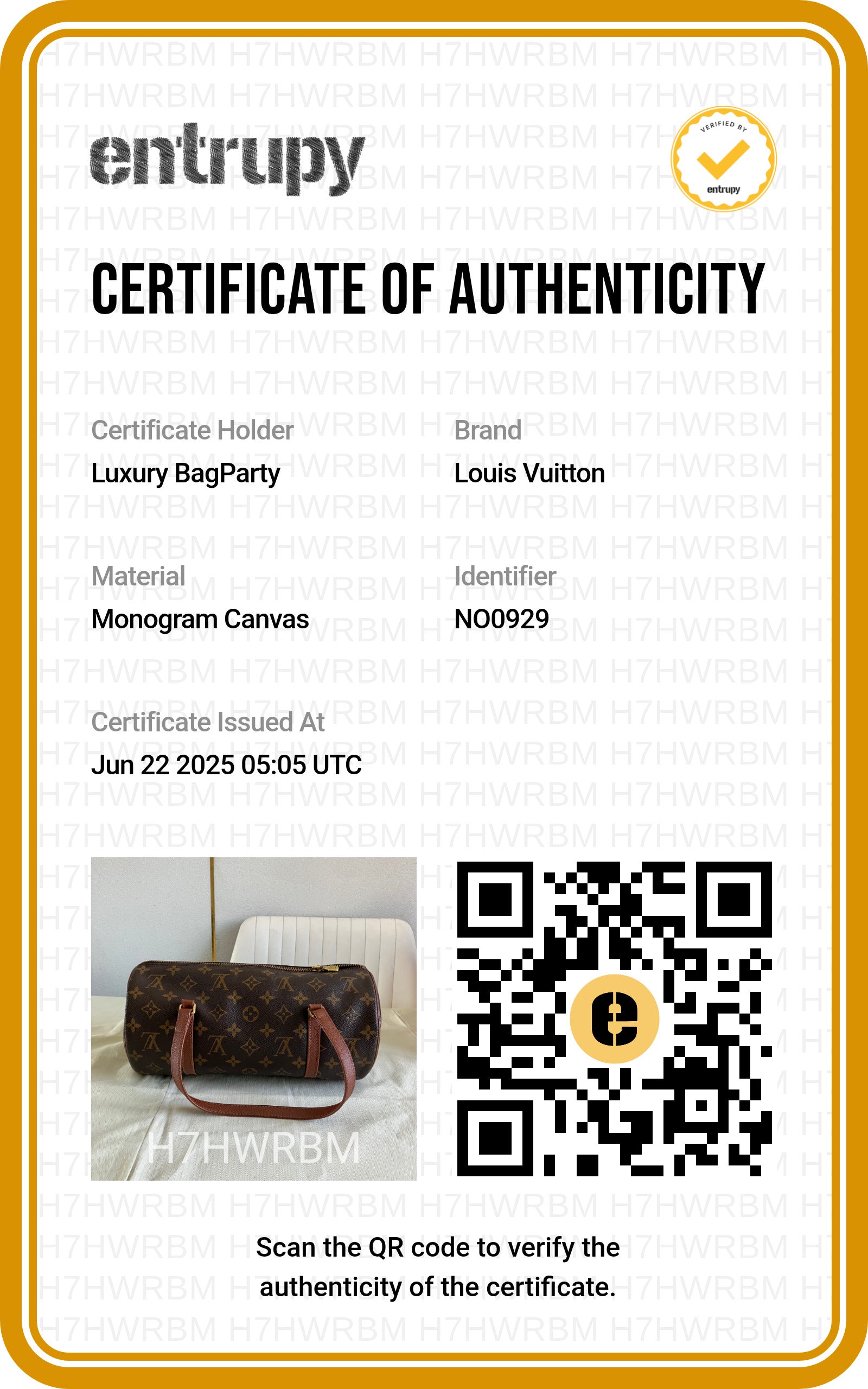 Louis Vuitton Papillon Monogram Canvas