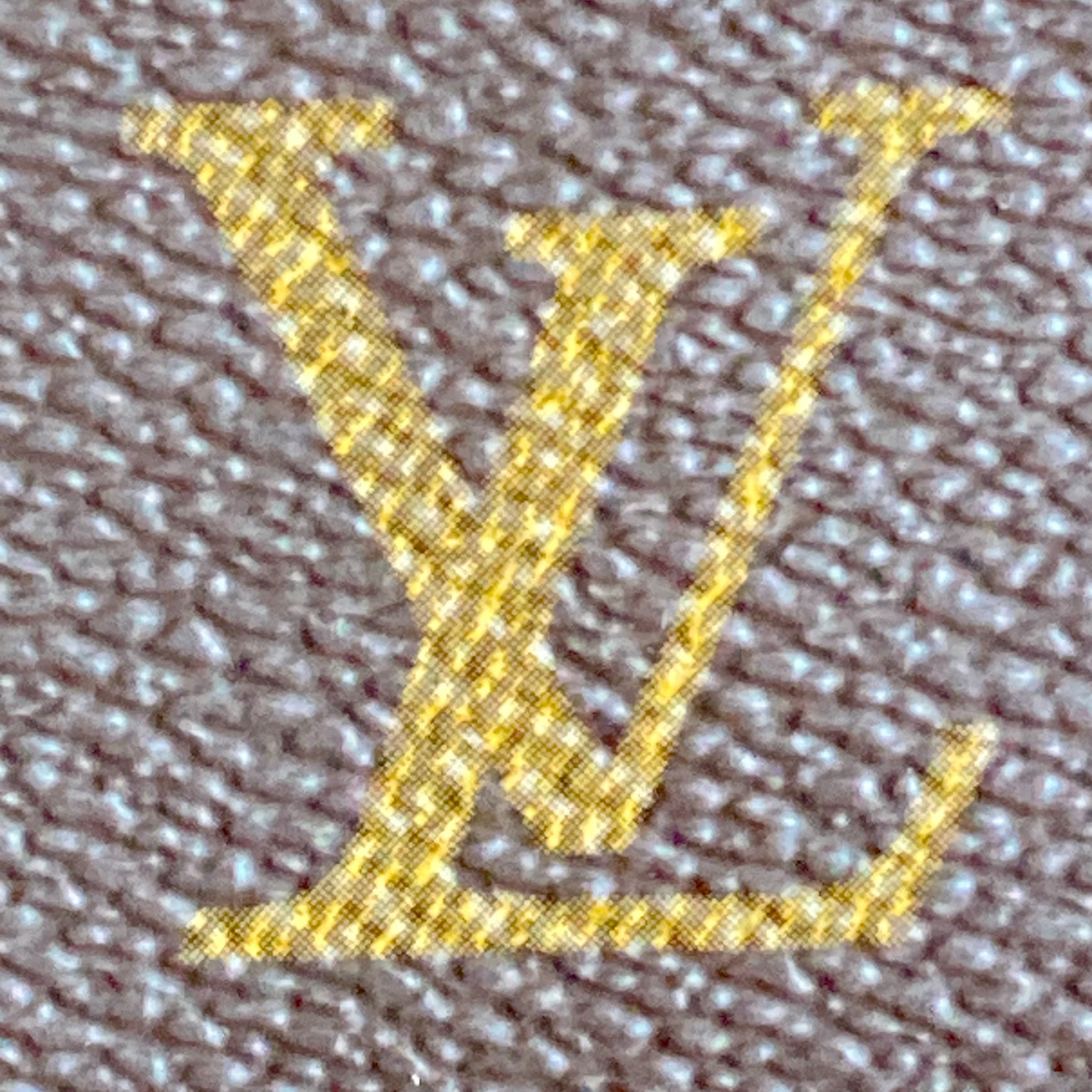 Louis Vuitton Pochette Twin Shoulder Bag