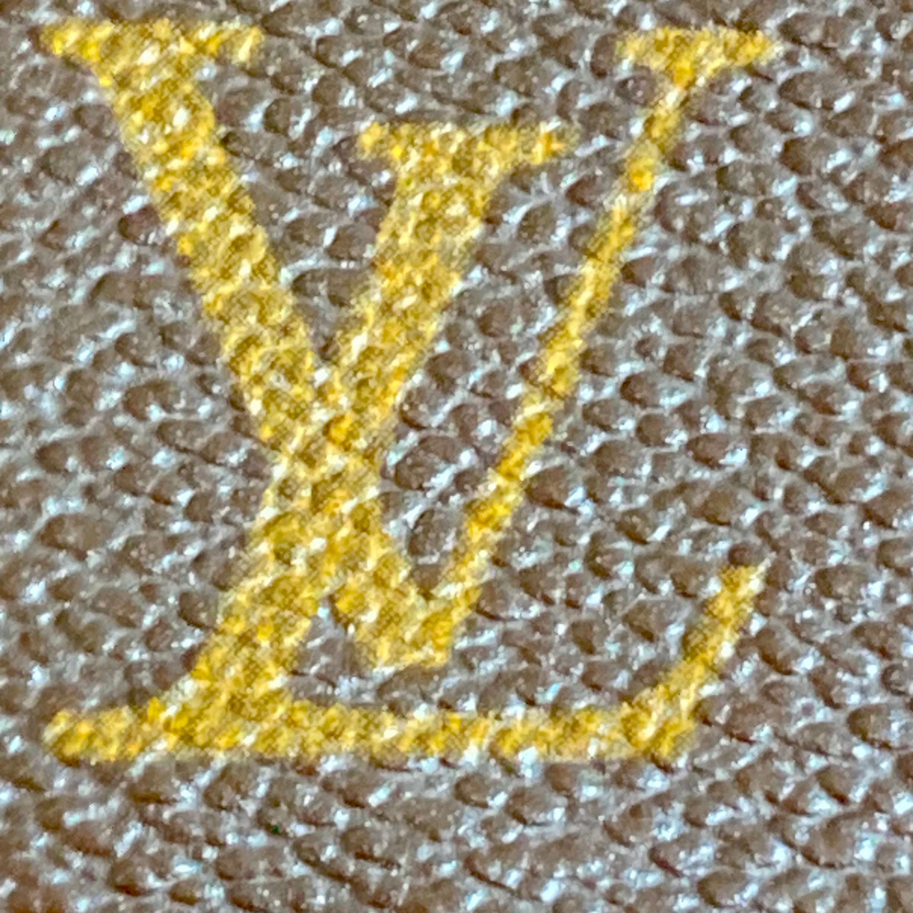 Louis Vuitton Papillon Monogram Canvas