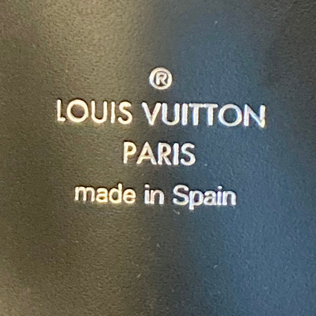 Louis Vuitton Damier Graphite Hippo Voyage Tote Bag