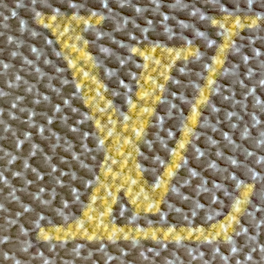 Louis Vuitton Monogram Canvas Ellipse MM
