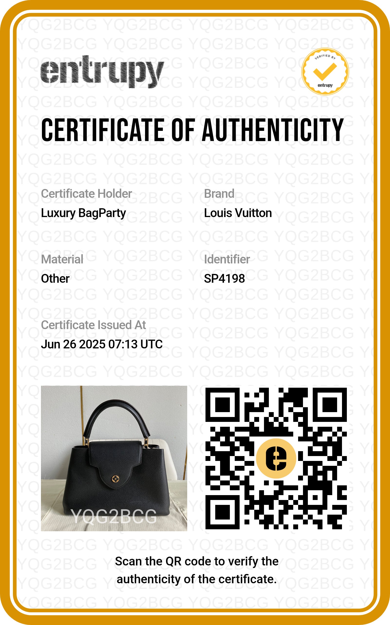 Louis Vuitton Capuccine PM Black