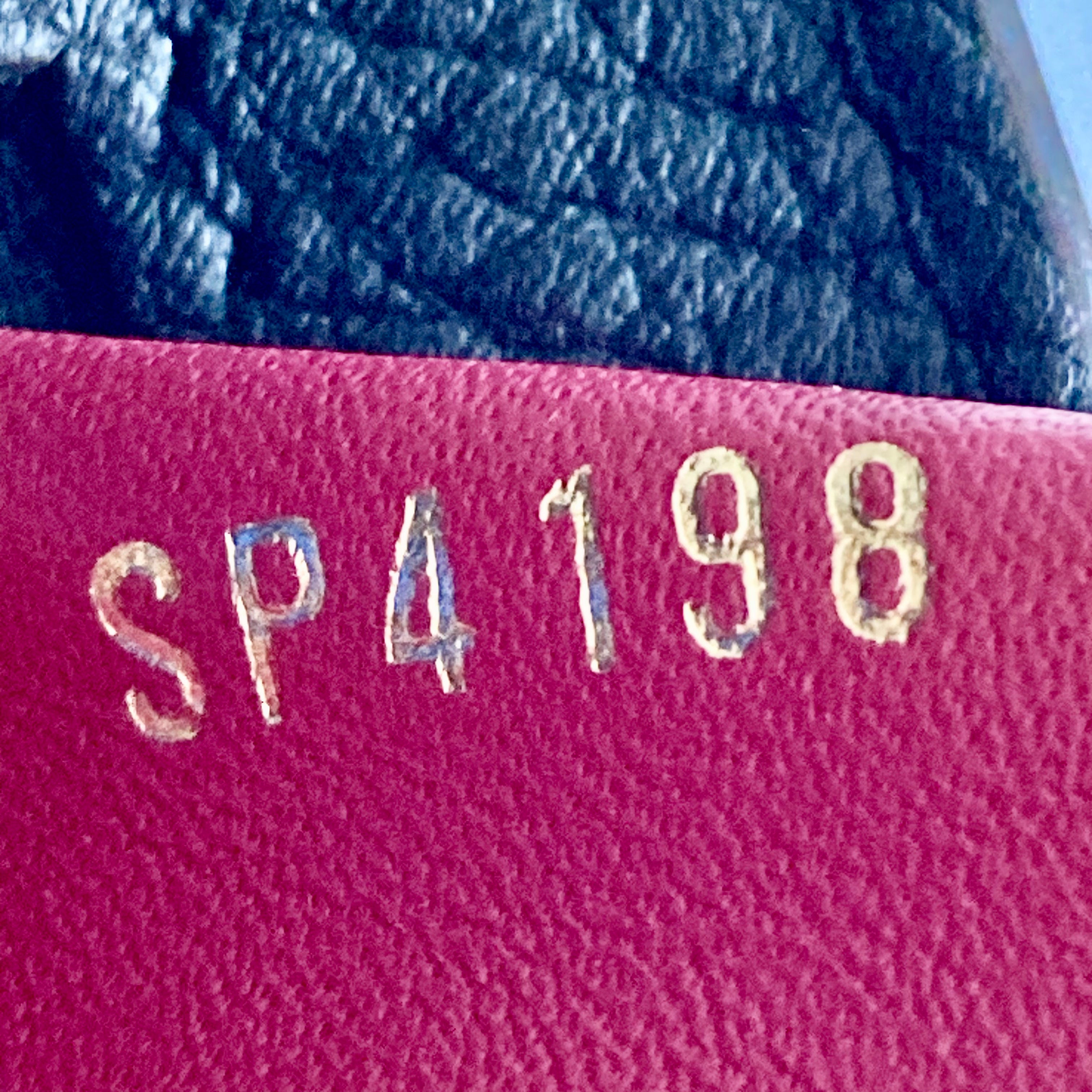 Louis Vuitton Capuccine PM Black