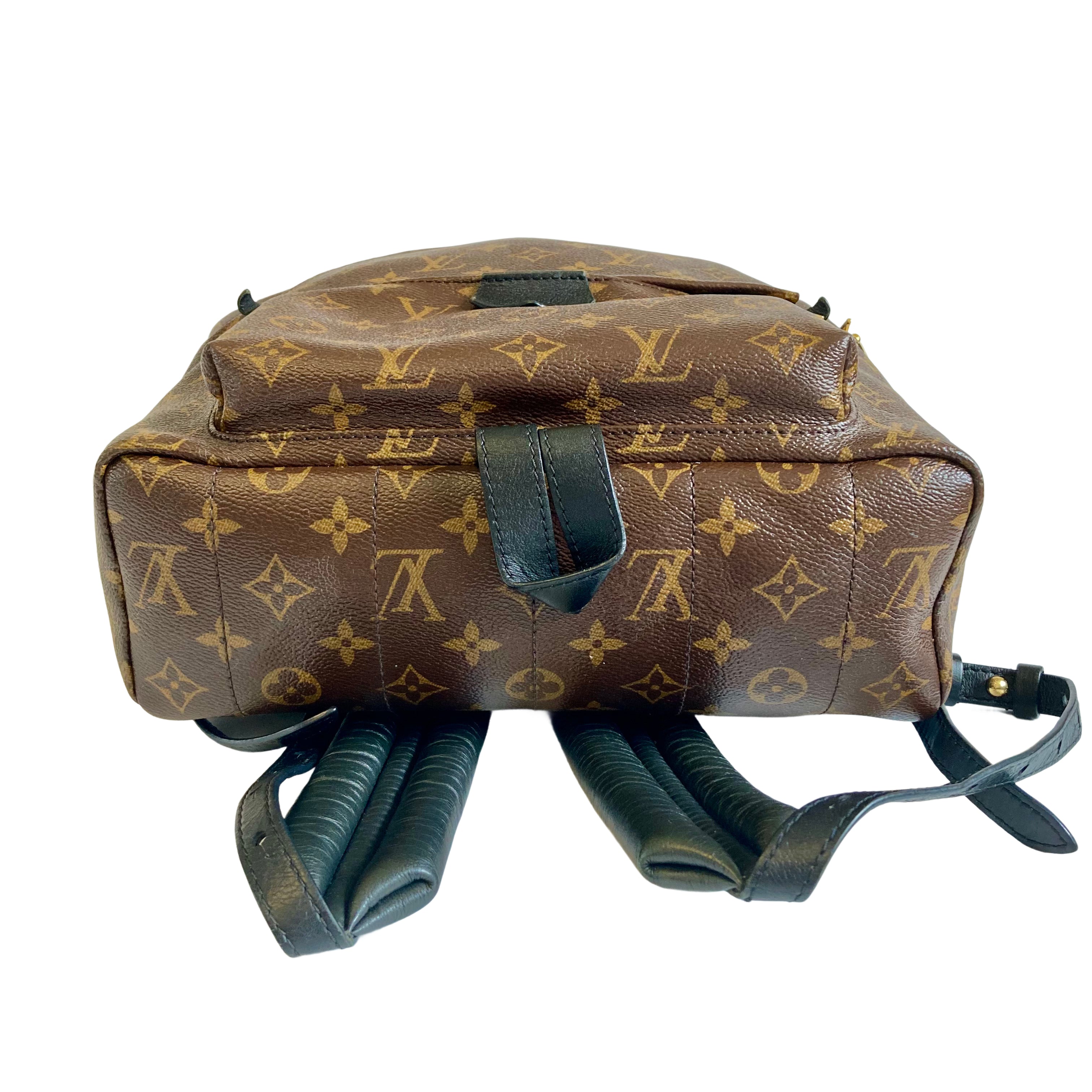 Louis Vuitton Classic Monogram Palm Springs MM - 4116