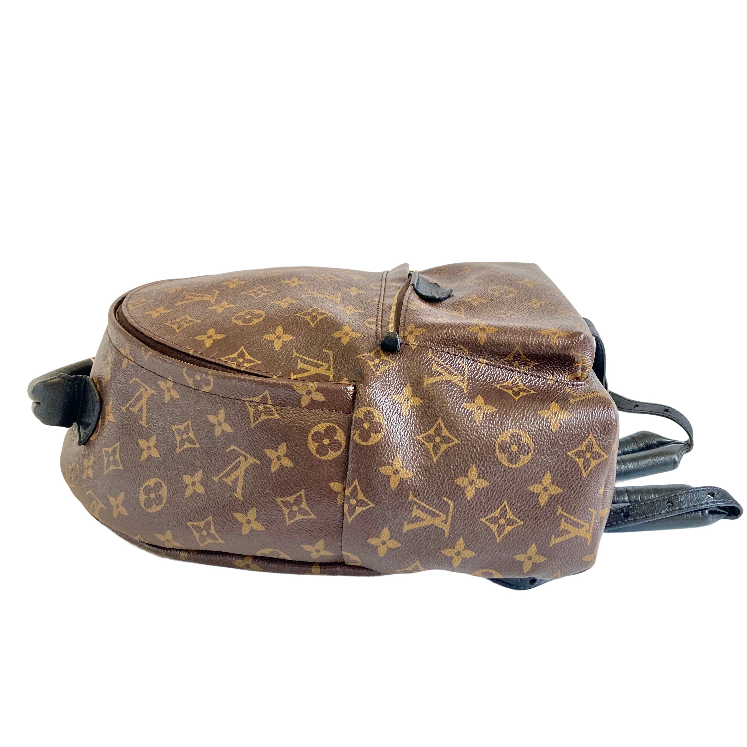 Louis Vuitton Classic Monogram Palm Springs MM - 4116