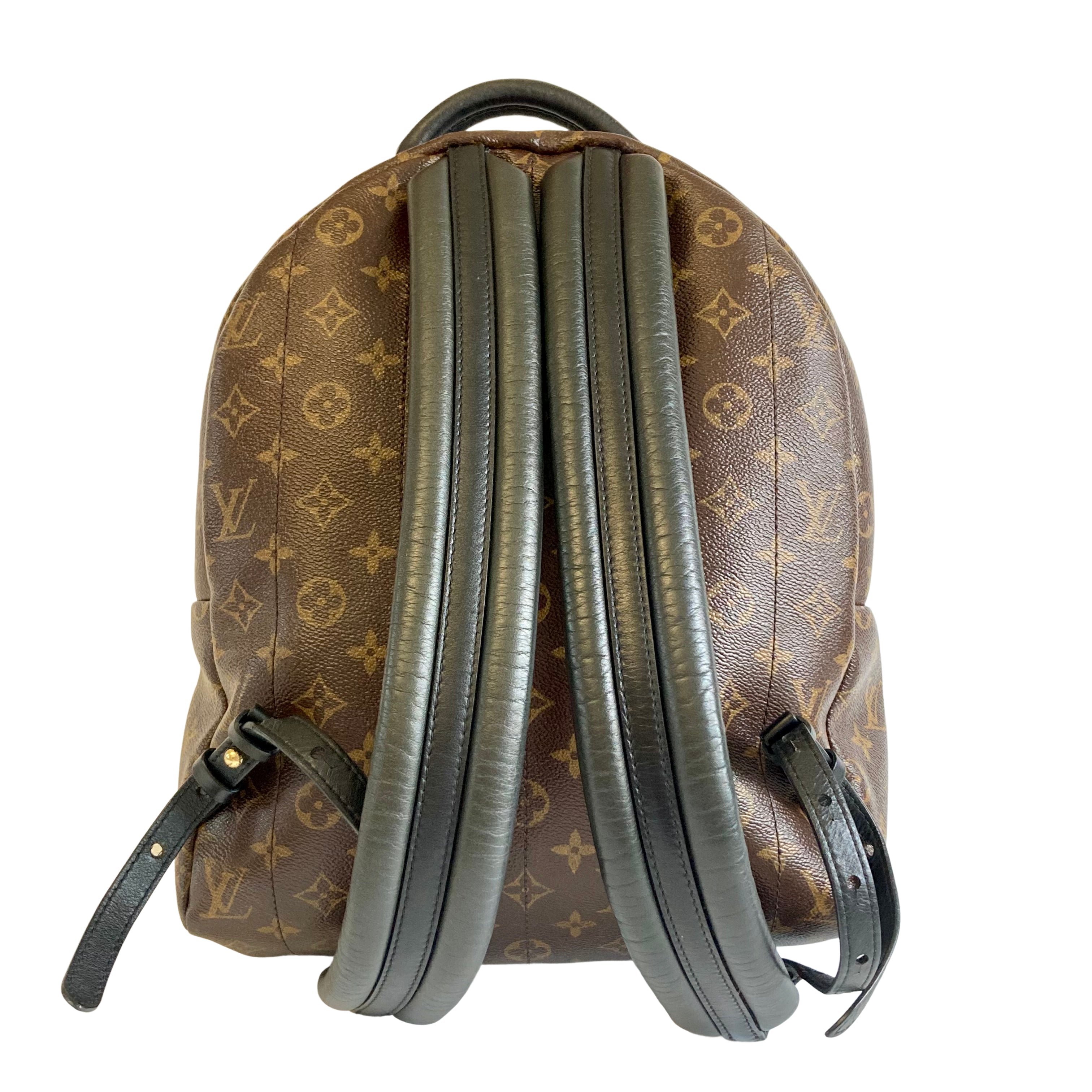 Louis Vuitton Classic Monogram Palm Springs MM - 4116