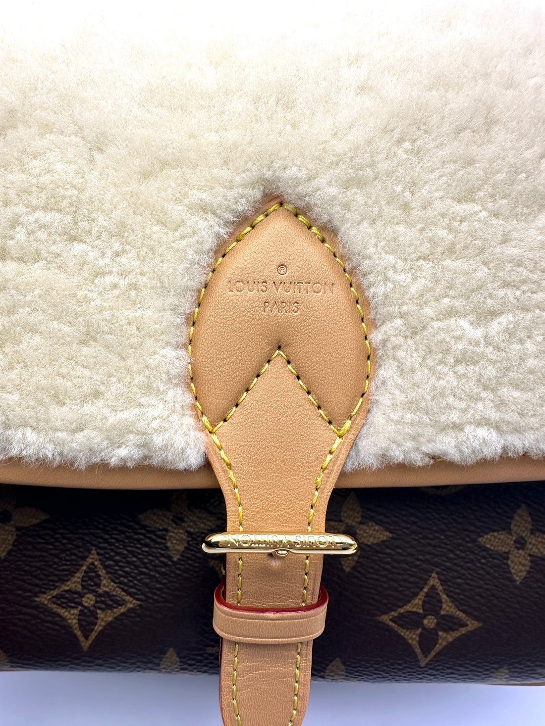 Louis Vuitton Cozygram Monogram Shearling Diane Shoulder Bag