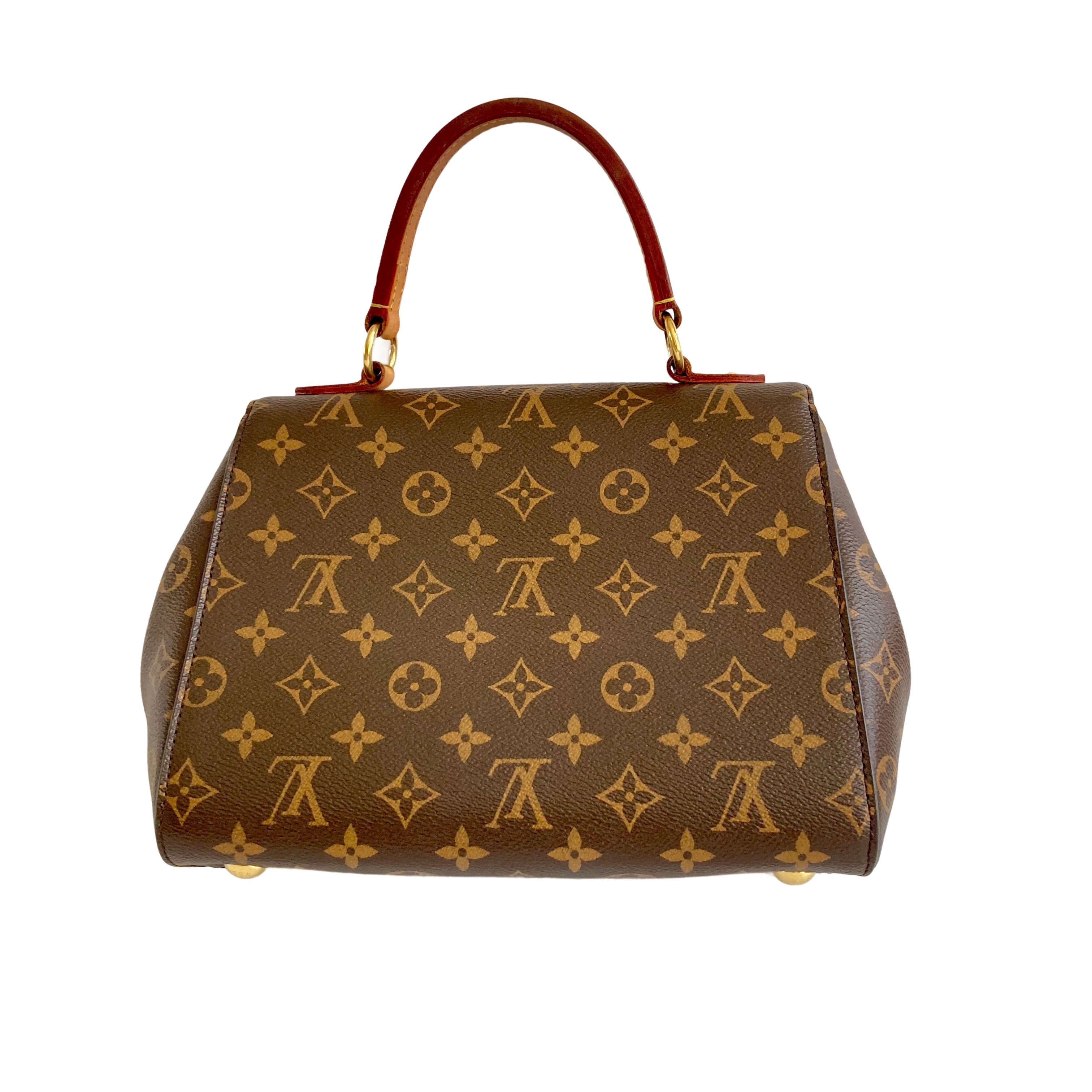 Louis Vuitton Classic Monogram Cluny PM