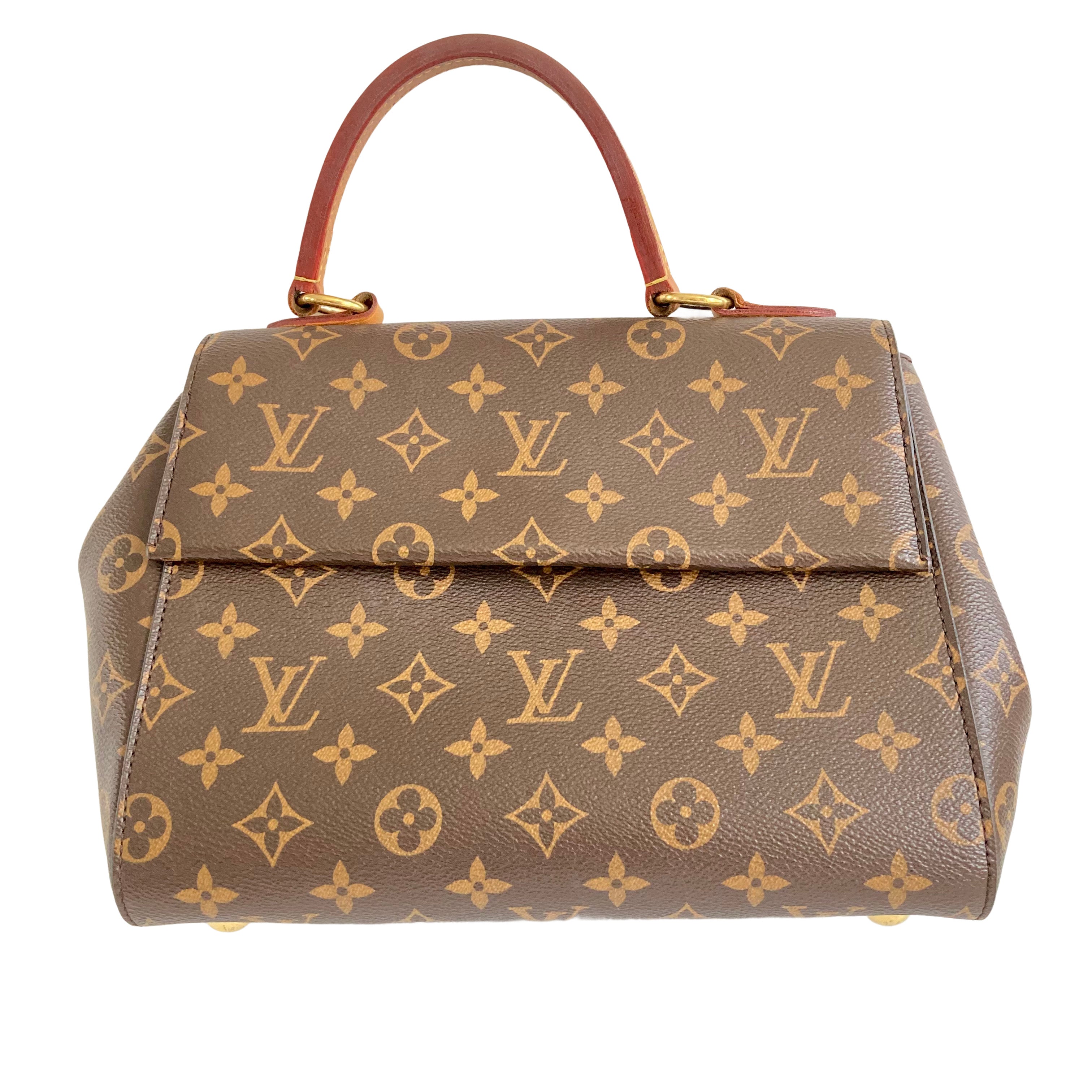 Louis Vuitton Classic Monogram Cluny PM