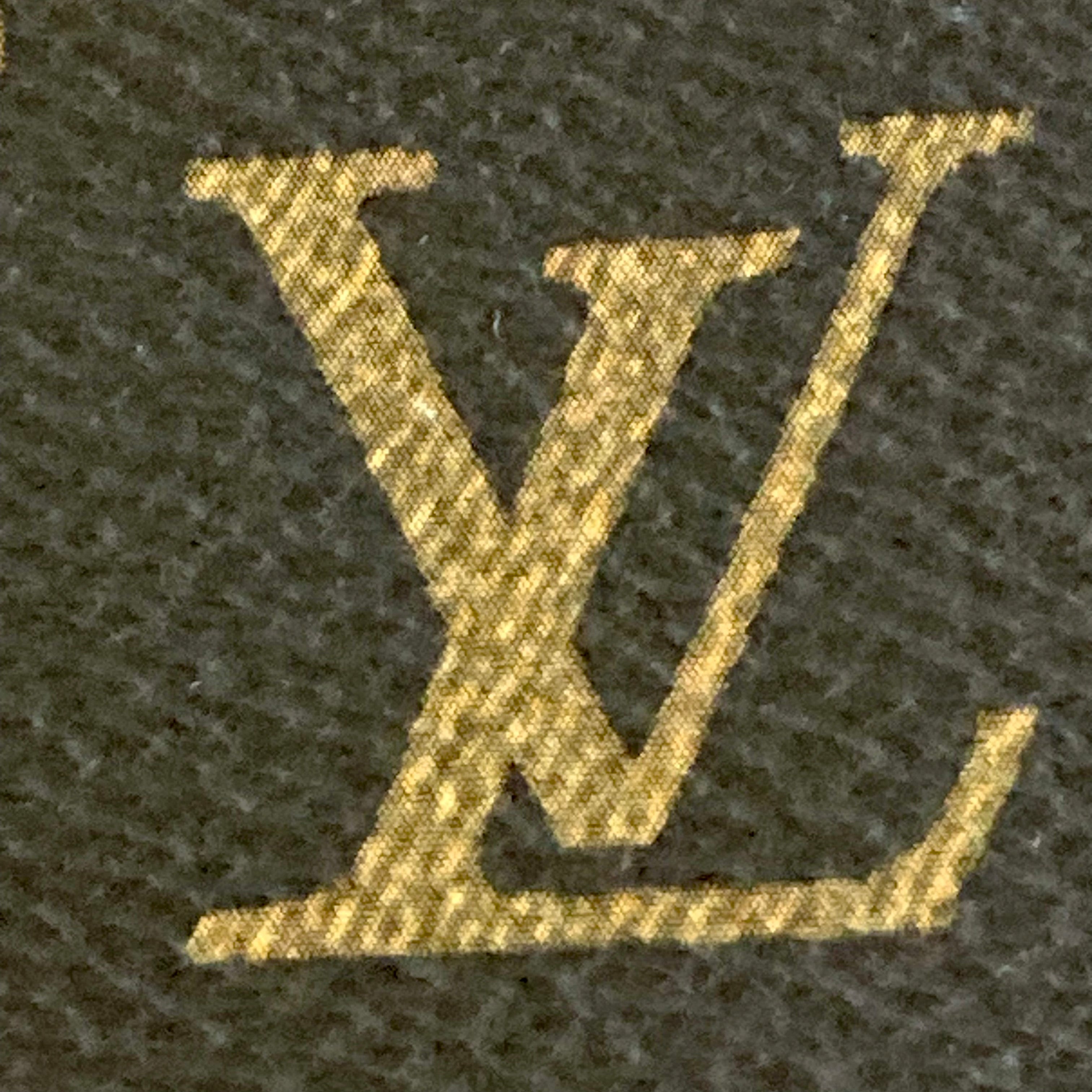 Louis Vuitton Classic Monogram Cluny PM