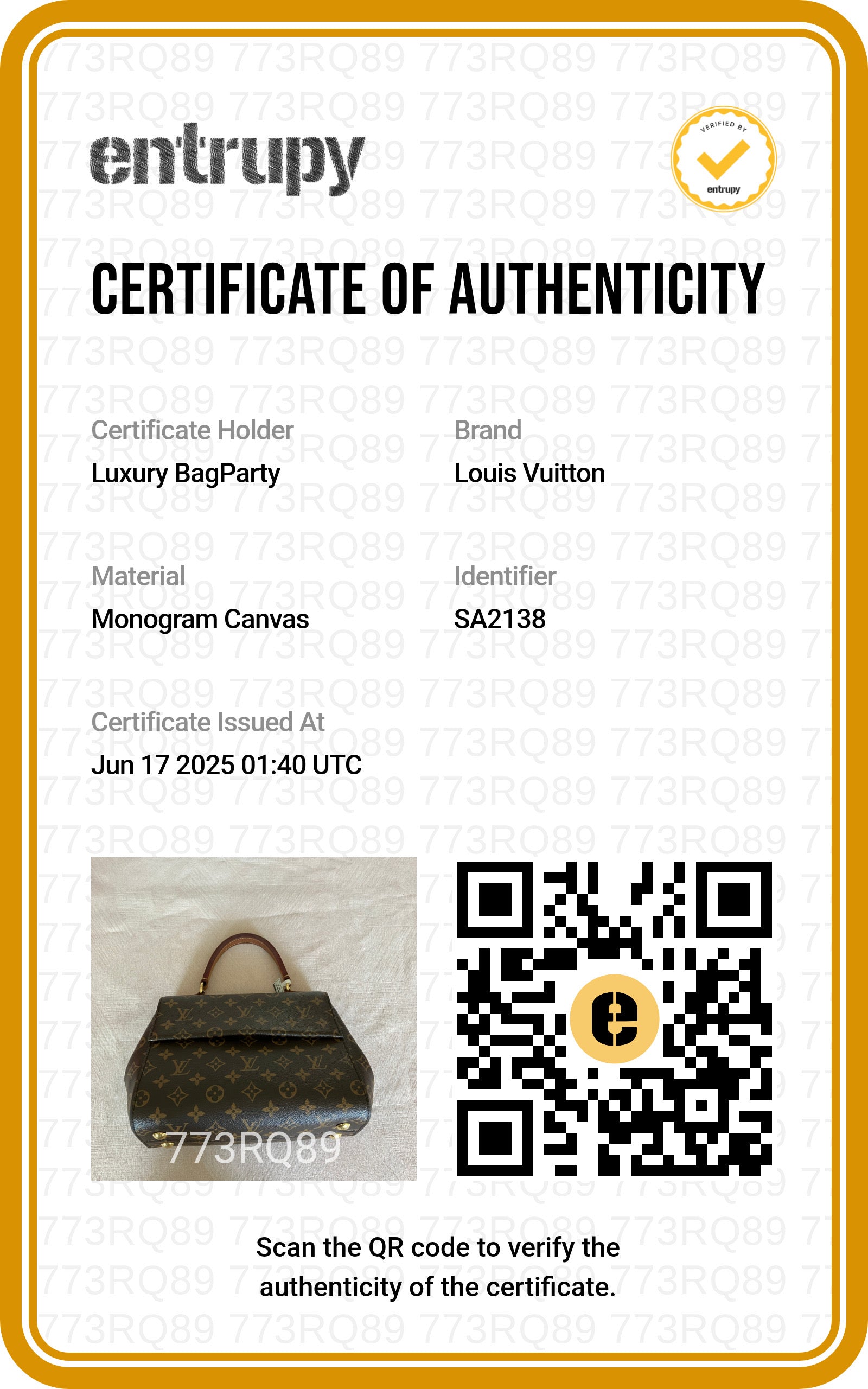 Louis Vuitton Classic Monogram Cluny PM