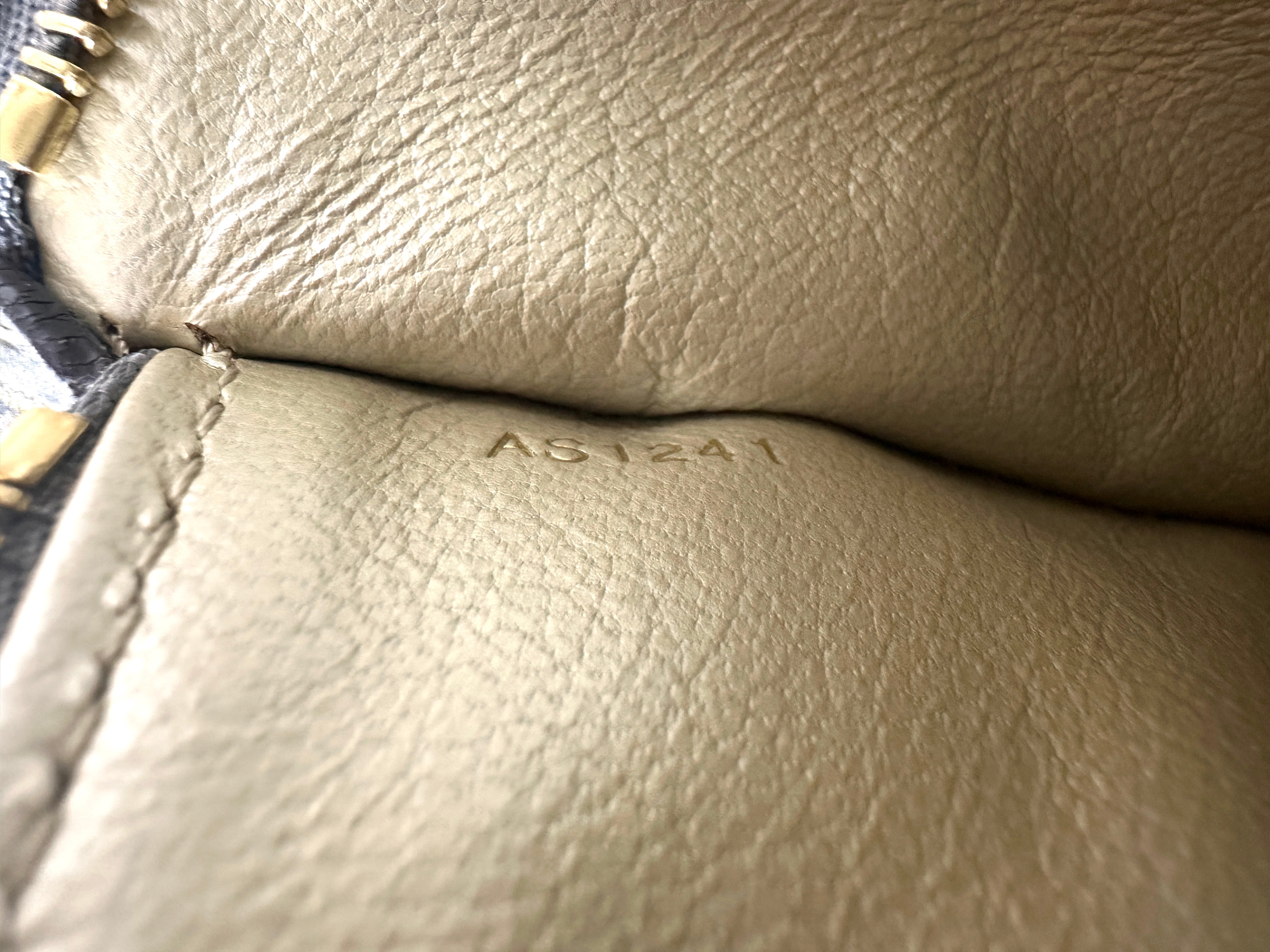 Louis Vuitton Capucines Mini Iridescent Metallic Crocodile GHW