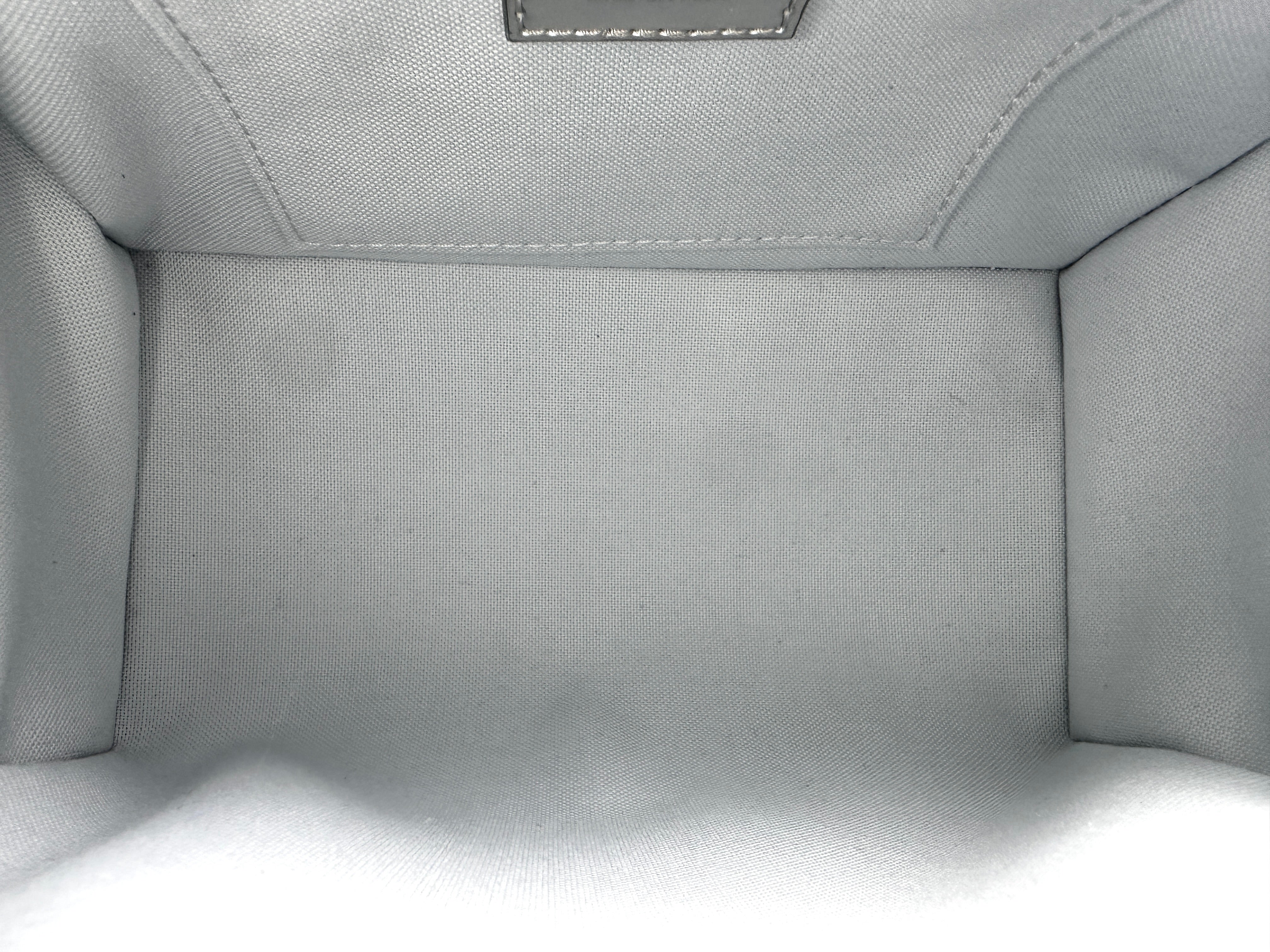 Louis Vuitton Speedy Bandoulière 20 Monogram Miroir Silver SHW