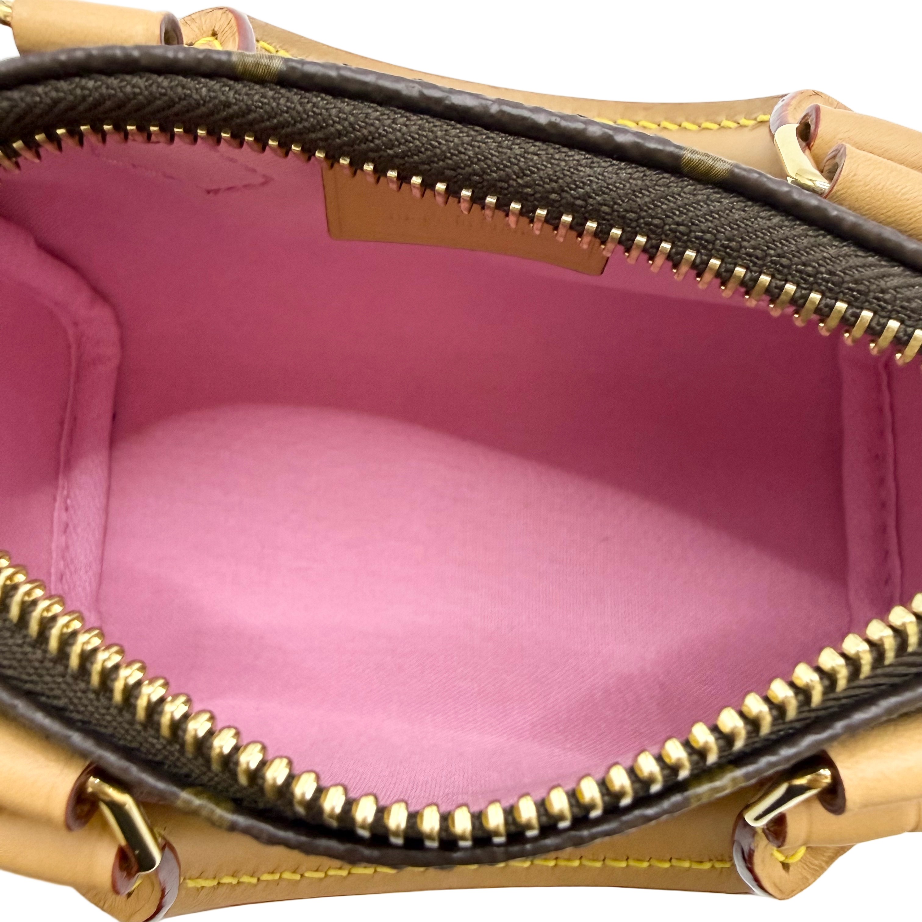 Louis Vuitton Nano Speedy Monogram Vivienne Ski Brown GHW